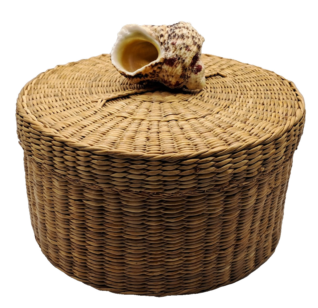 Round Woven Straw Basket Sea hell Knob Nautical Beach Keepsake Box 6" W  5"T
