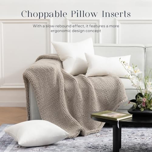 Feather Pillow Inserts, 100% Down Feather Throw 18" x 18" (Pack of 2) White