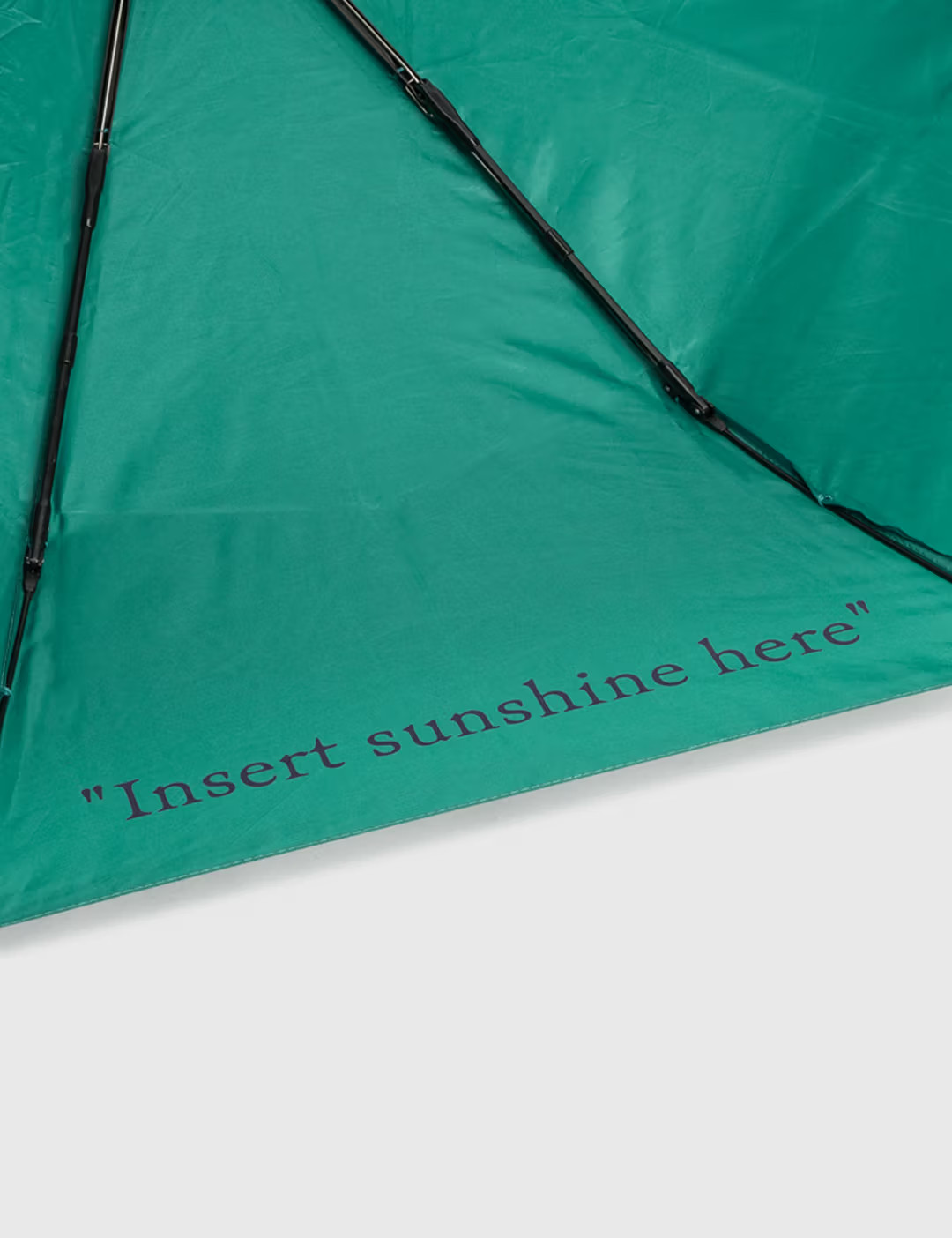 Off-White FOLDABLE UMBRELLA in Dark Irish Aubergine