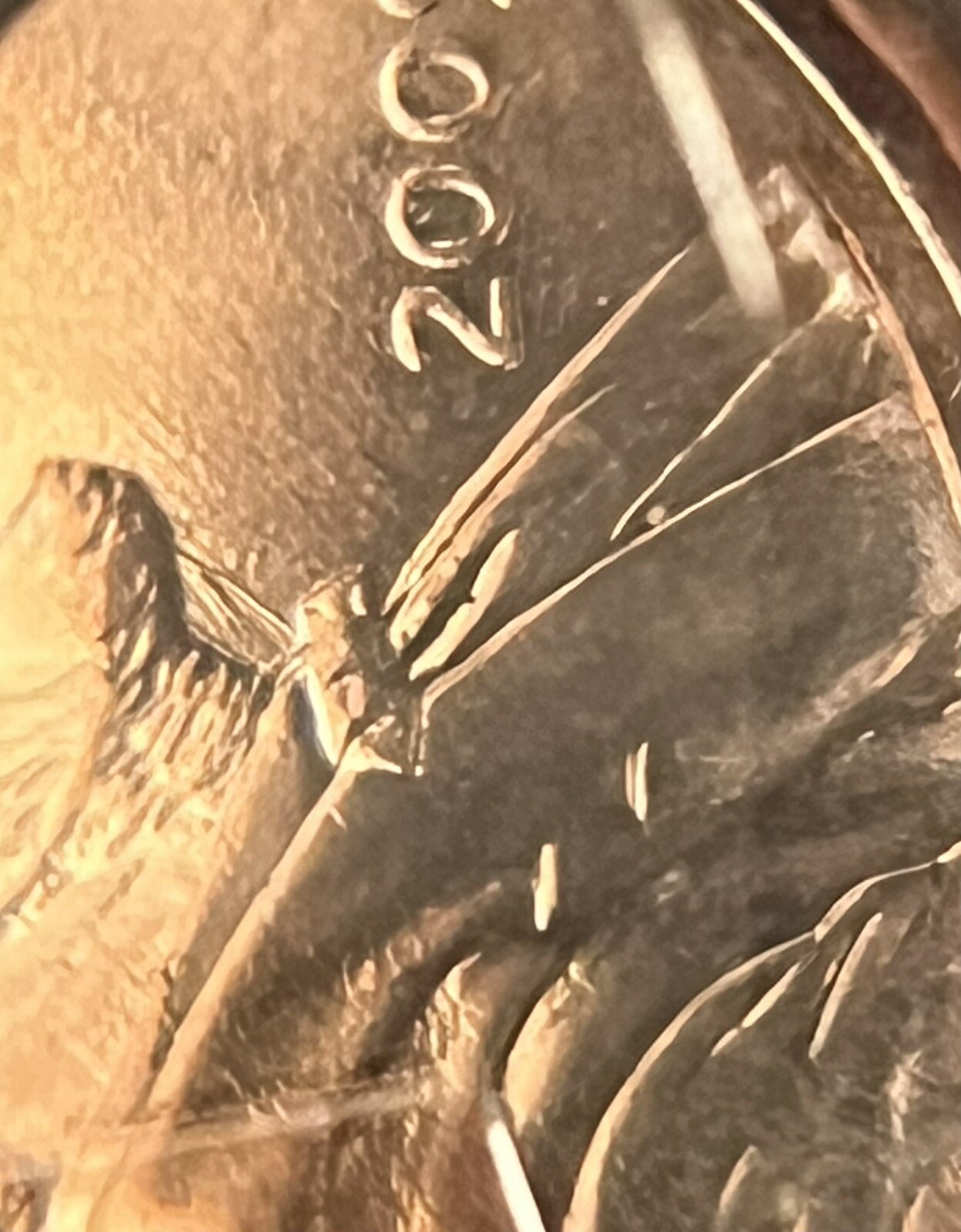 2009 Formative Years Lincoln Cent With Die Clash Whiskers Error Cat Fish Error