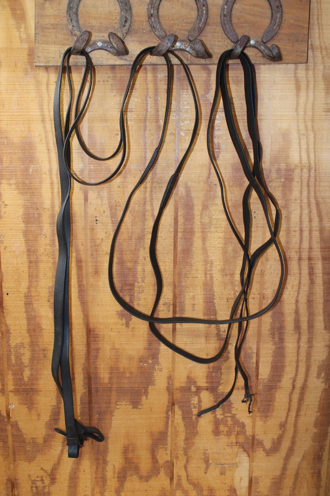 Buckle End Black Leather Driving Lines