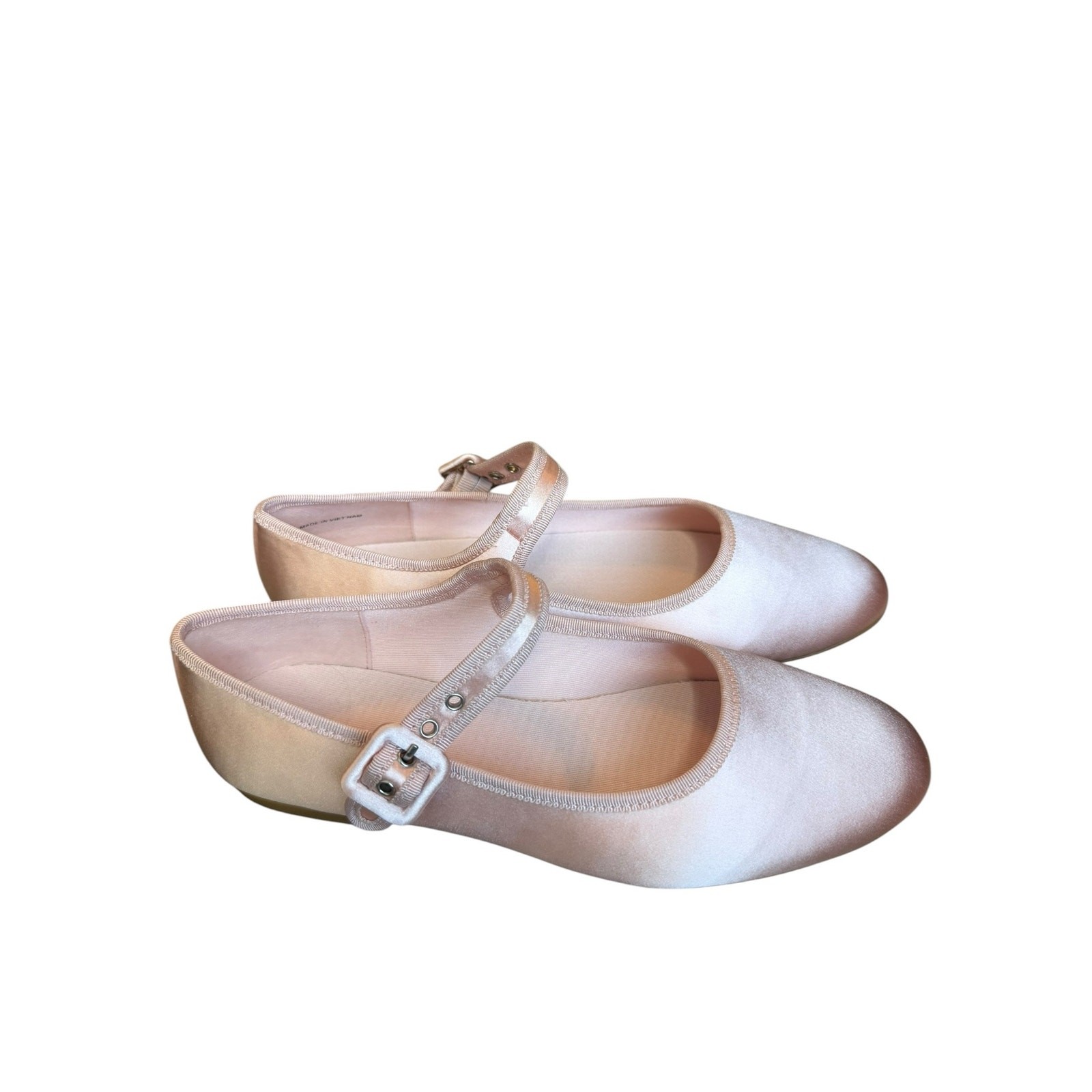 Everlane The Day Buckle Mary Jane Flats Pink Satin Ballet Shoes Size 7