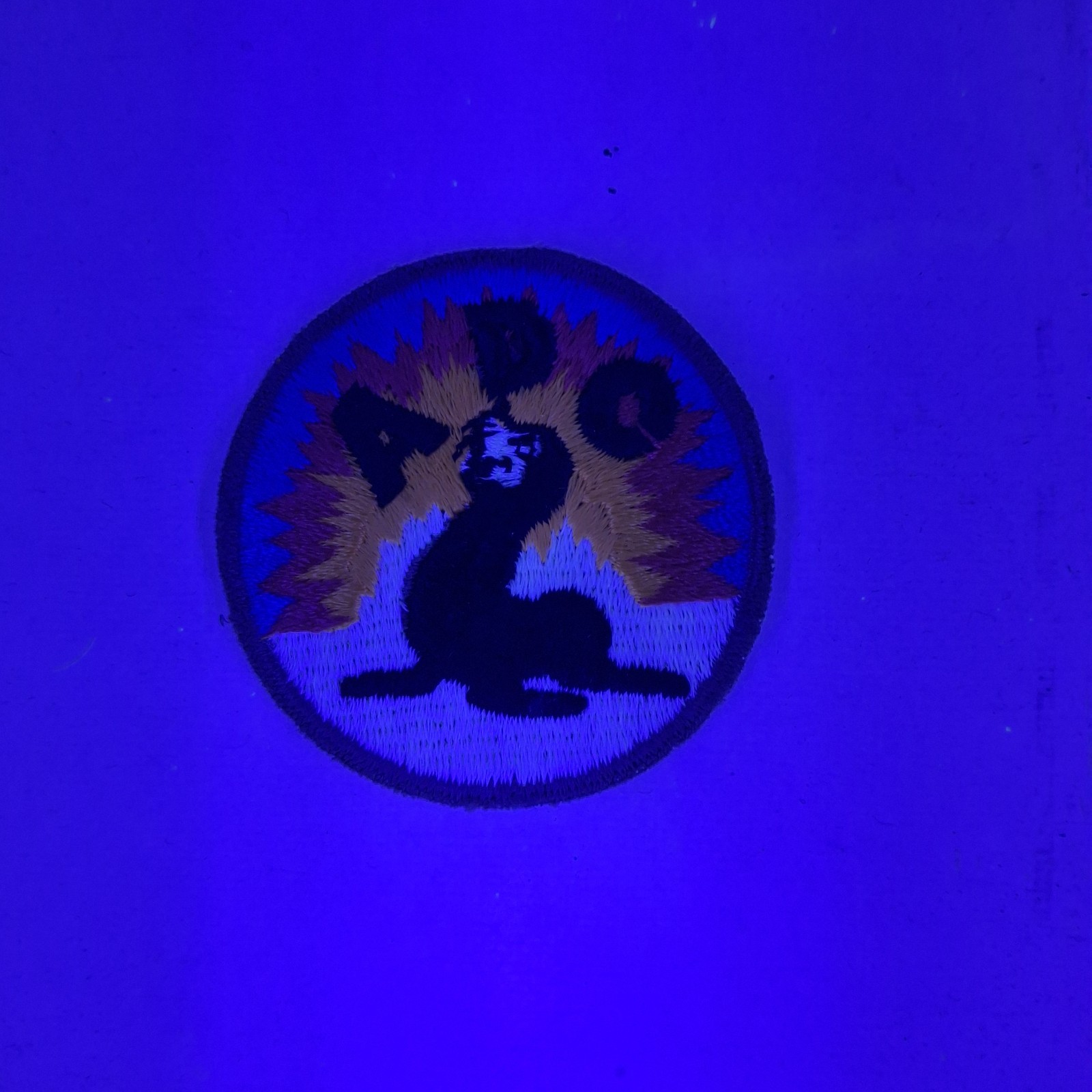 US Army WW2 Alaska Defense Command 2 1/2" Patch