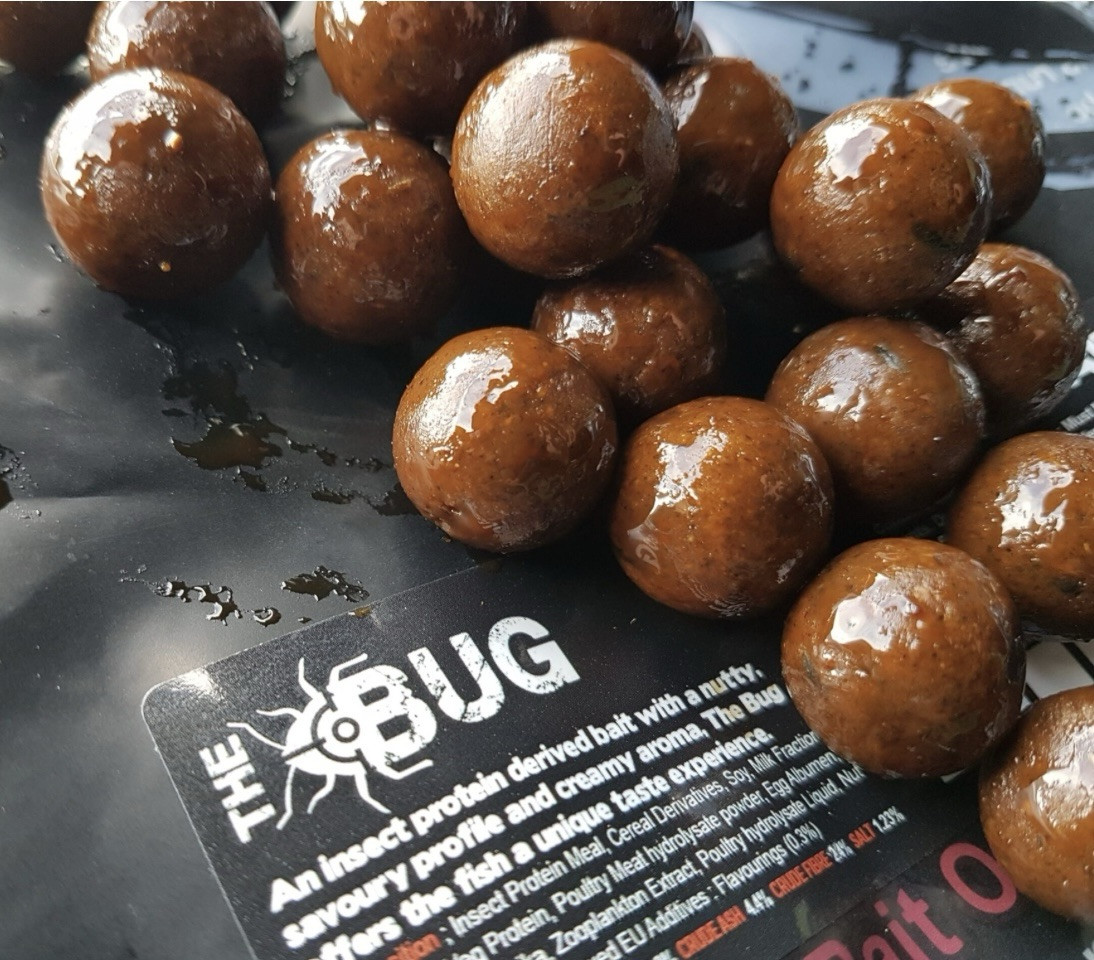 DNA Baits The Bug  12mm 1kg Bag Shelf Life Boilies Carp Course Fishing