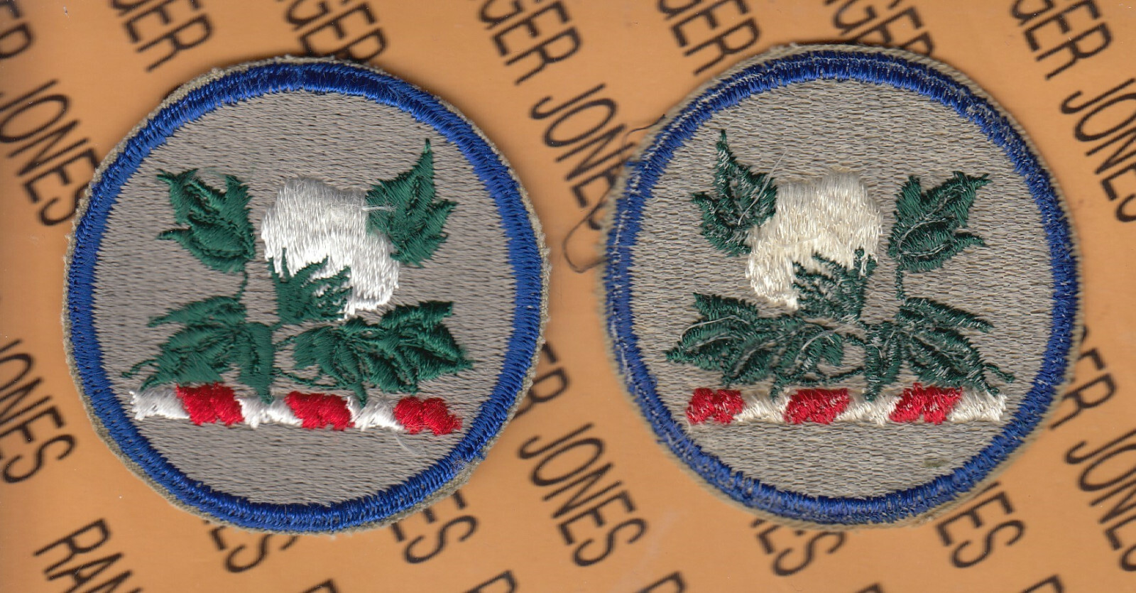 US Army Alabama Army National Guard ARNG patch c/e