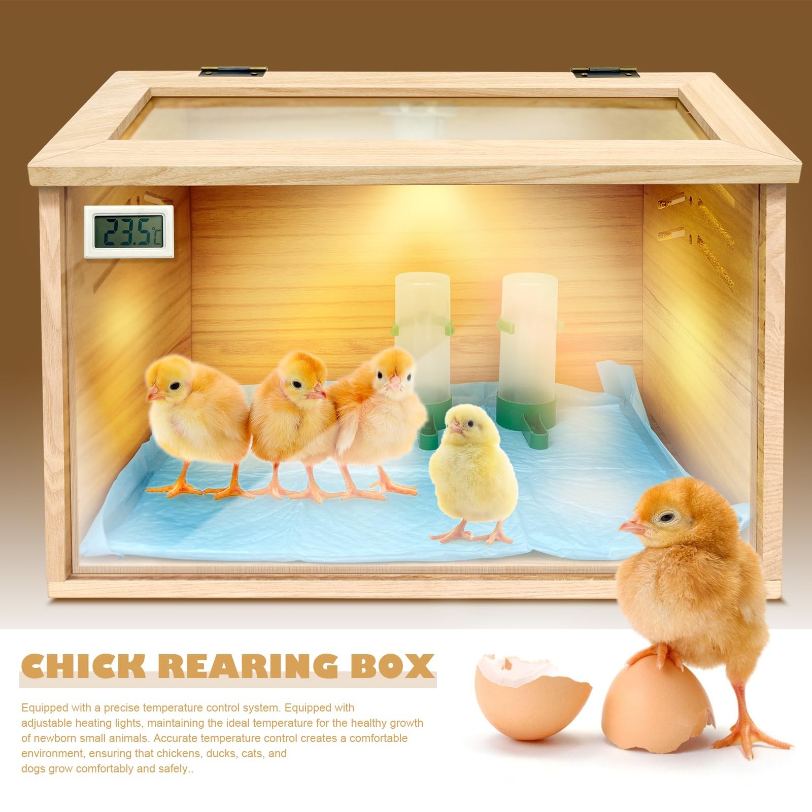 Chicken Brooder Box for Chicks & Quail with 3 Absorbent Box, Beige