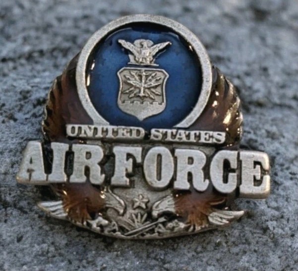 Air Force Pinback United States Military Pewter Siskiyou Lapel  Service Vtg 2096