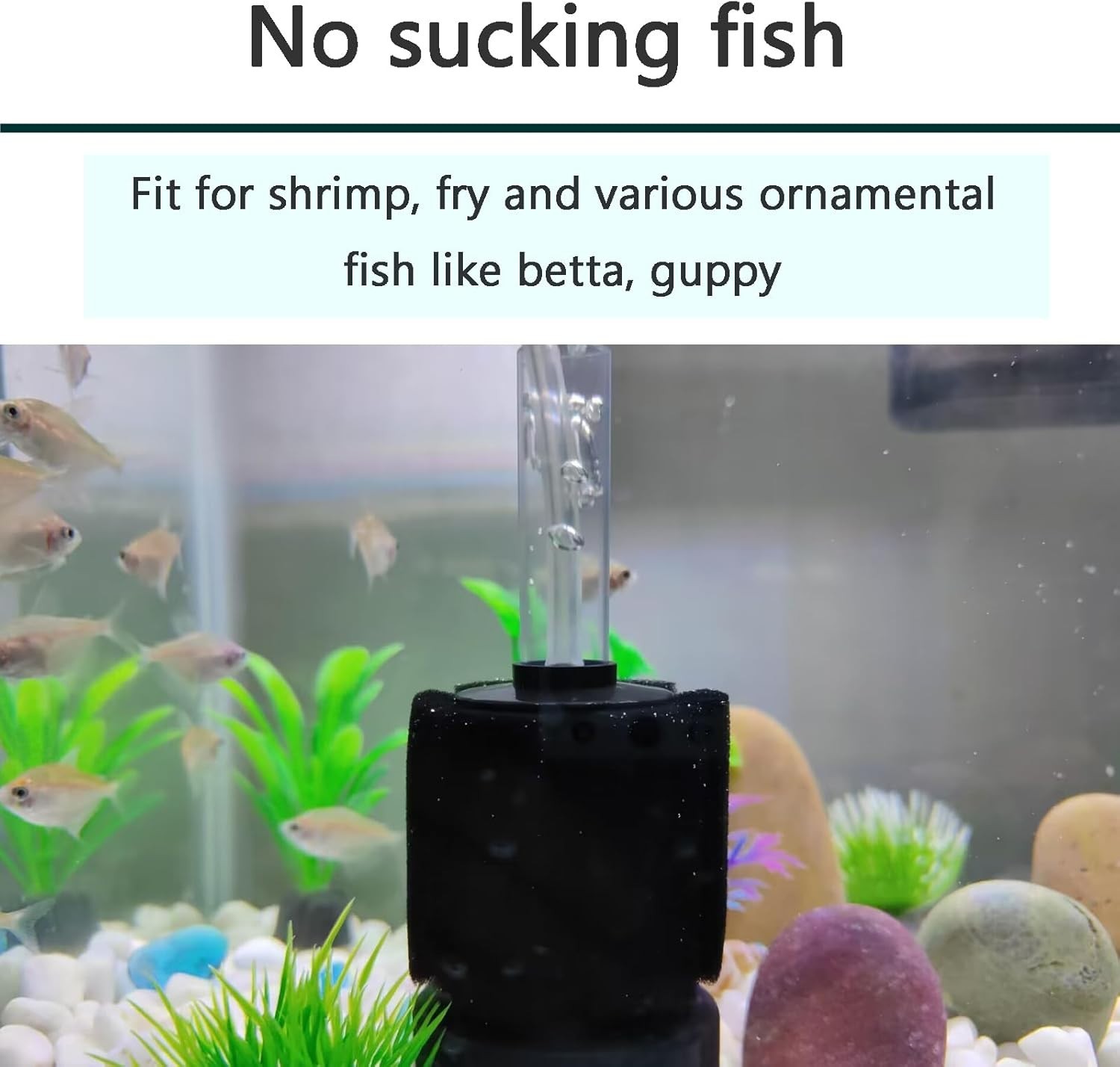 Safe Sponge Filter for Betta & Dwarf Cichlids - Ideal for Small Aquariums