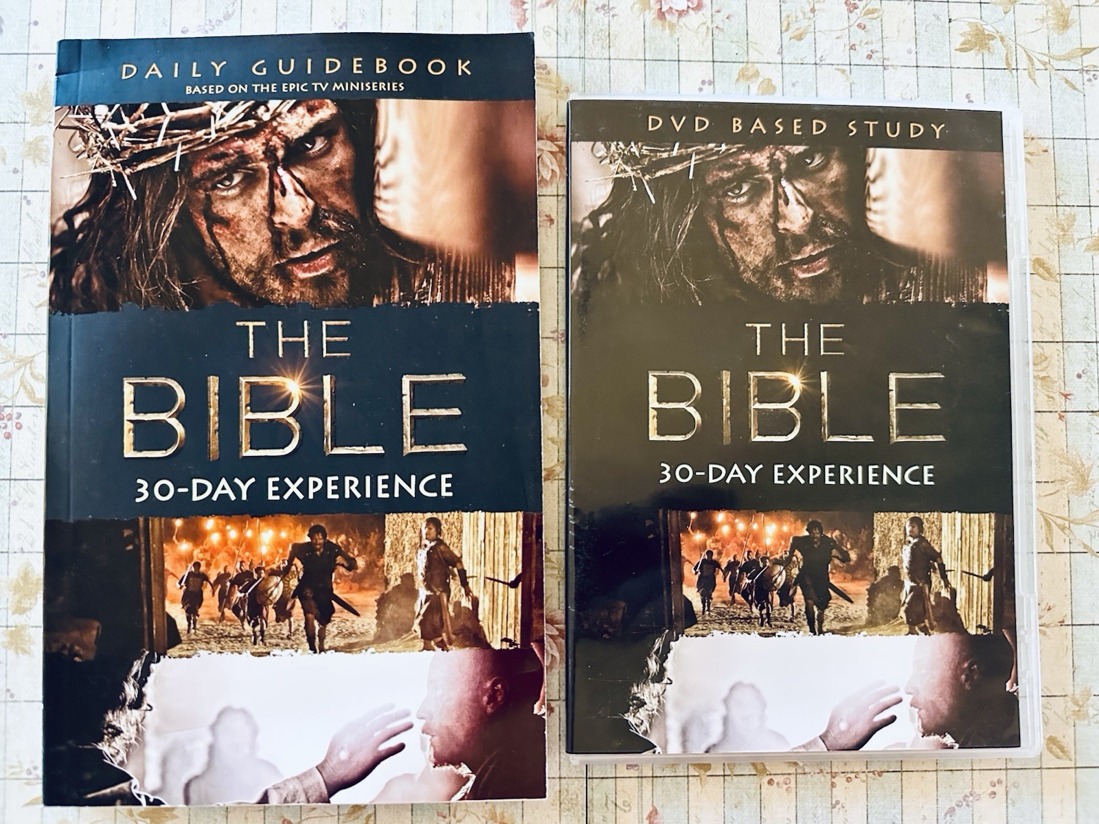 The Bible : 30 Day Experience DVD Bible Study + Guide