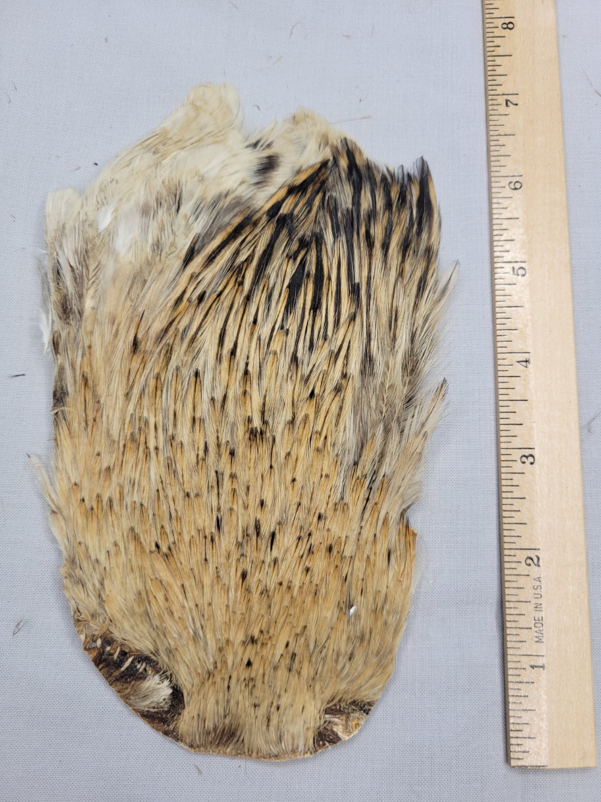 Lot 99,  Grade B,   Natural India Rooster Streamer Neck Cape Feathers