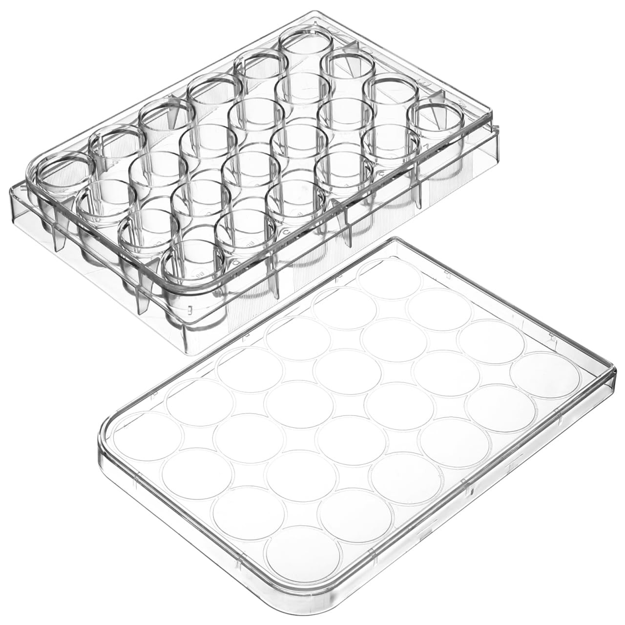 24 Holes Pill Filling Tool Filler Tray Tube Rack Lab Cell Culture 2cm Dia