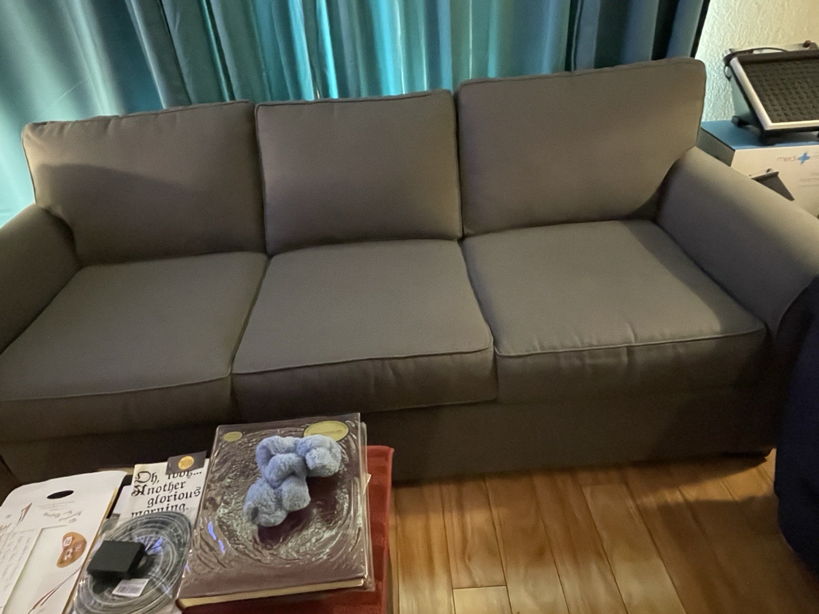 Gray Sofa