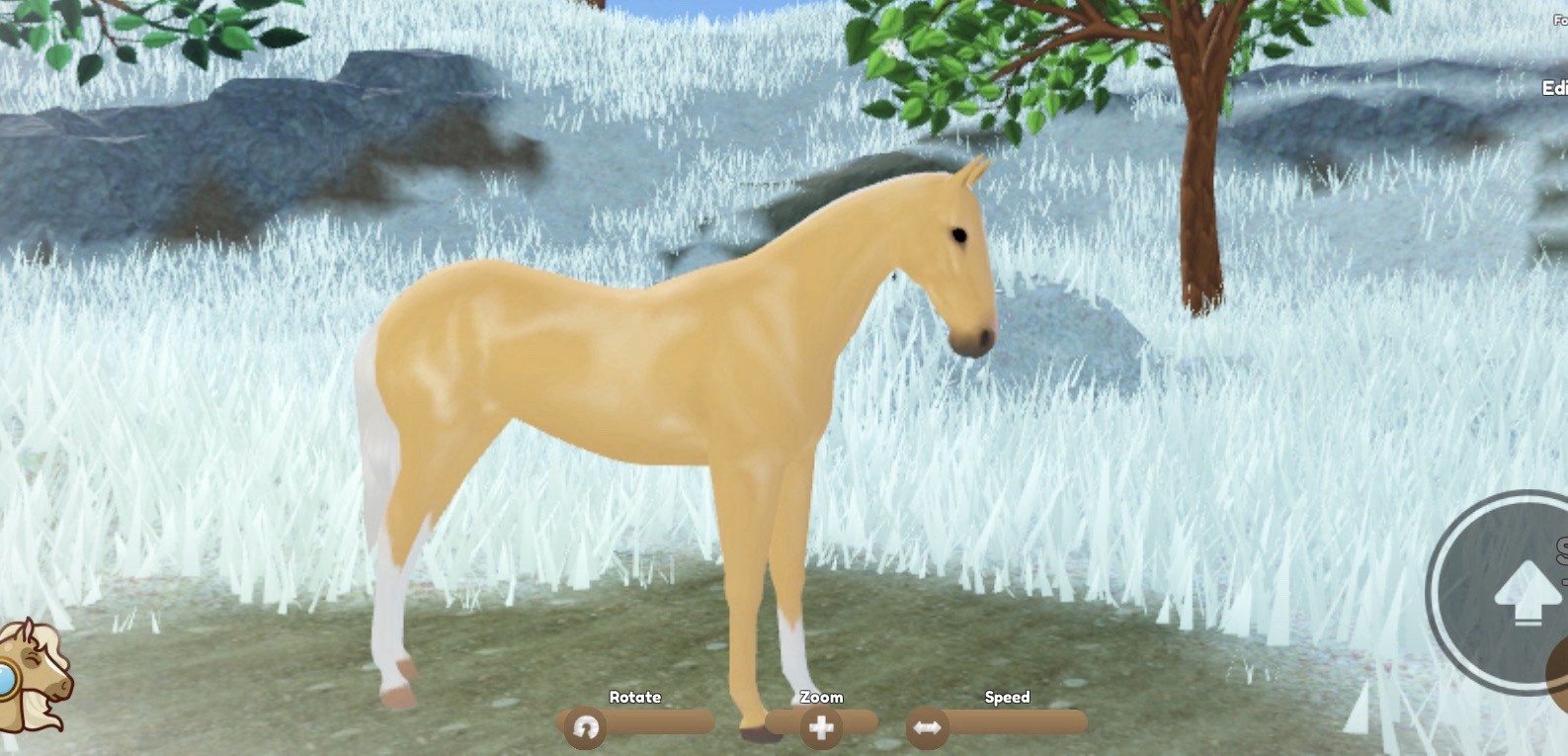 Wild Horse Islands Akhal-Teke Palomino Horse, Very Rare Breed, 50% Purebred