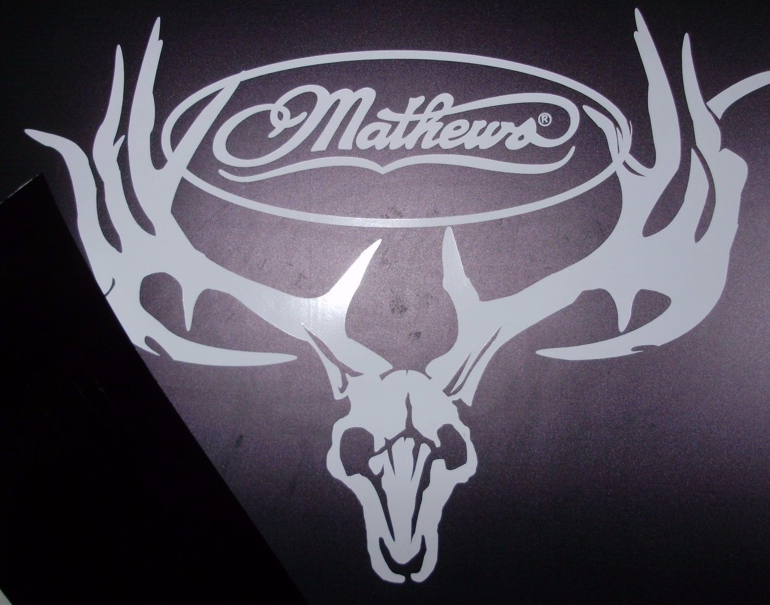 Mathews deer skull all white die cut 10" wide 9" tall