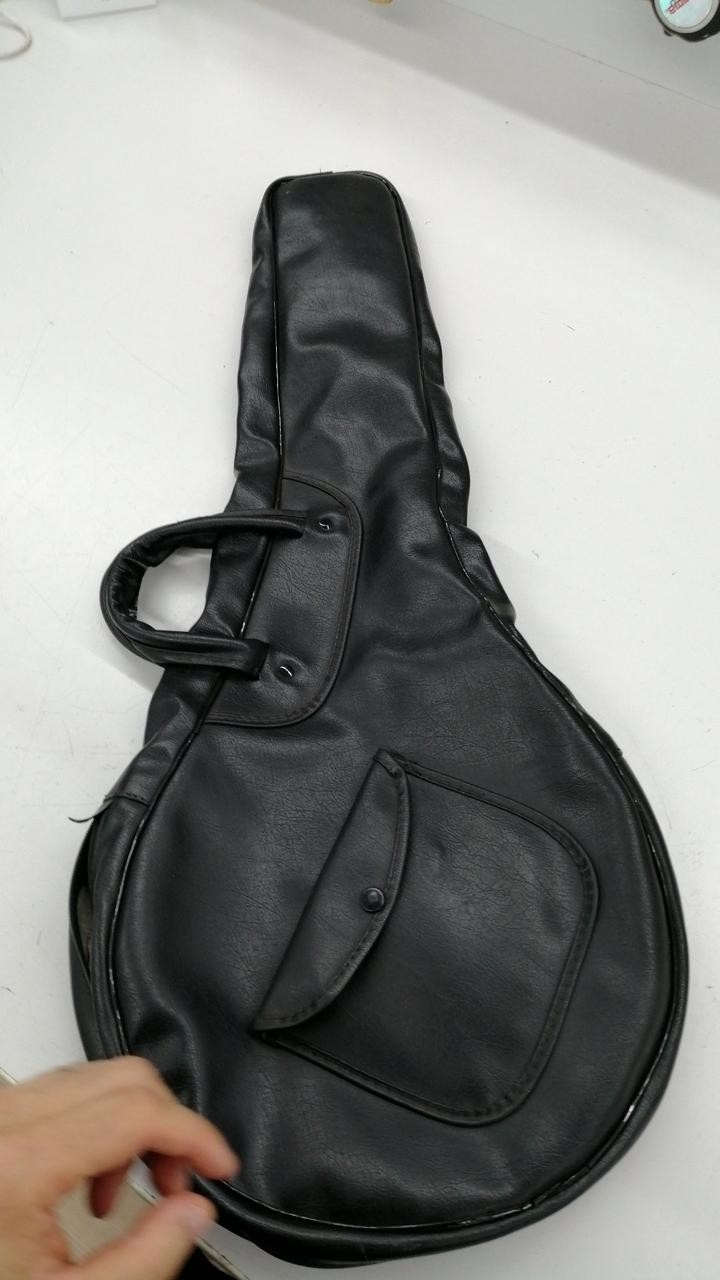 JAGARD Mandolin