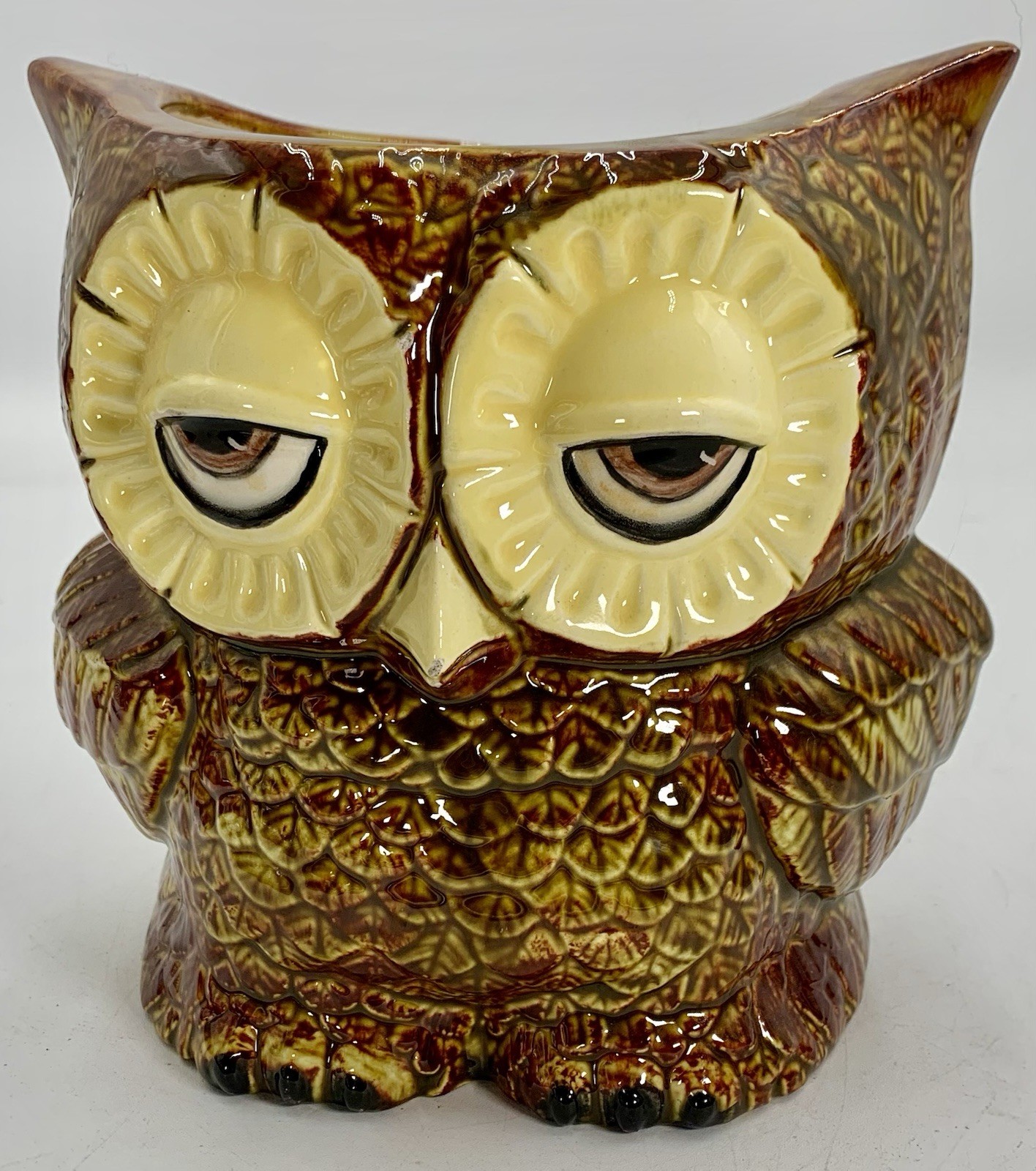 Claylicious Painted Ceramic Owl Planter Pot