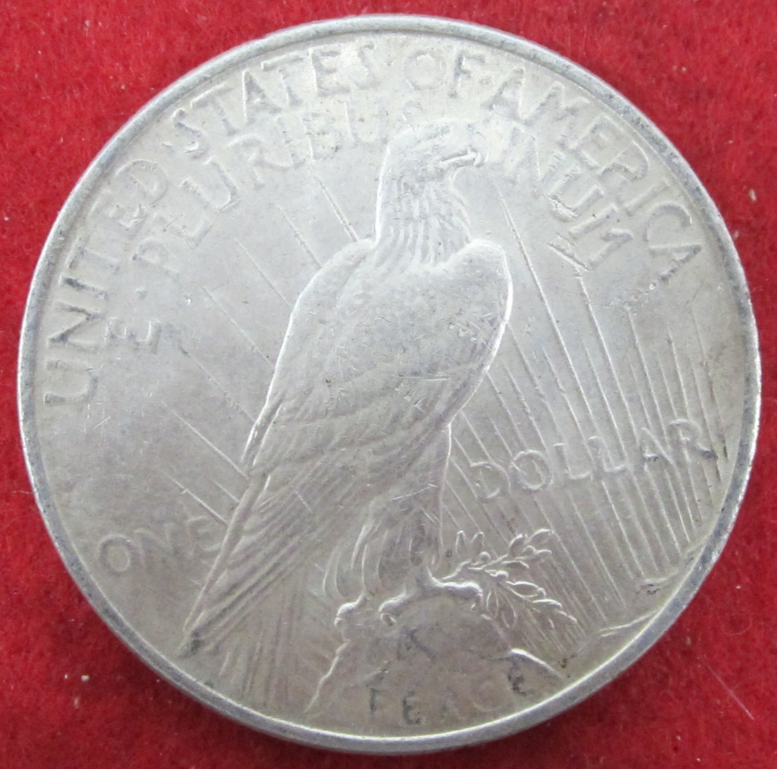 1924 (P) Peace Dollar - Uncirculated - Actual Coin Q67