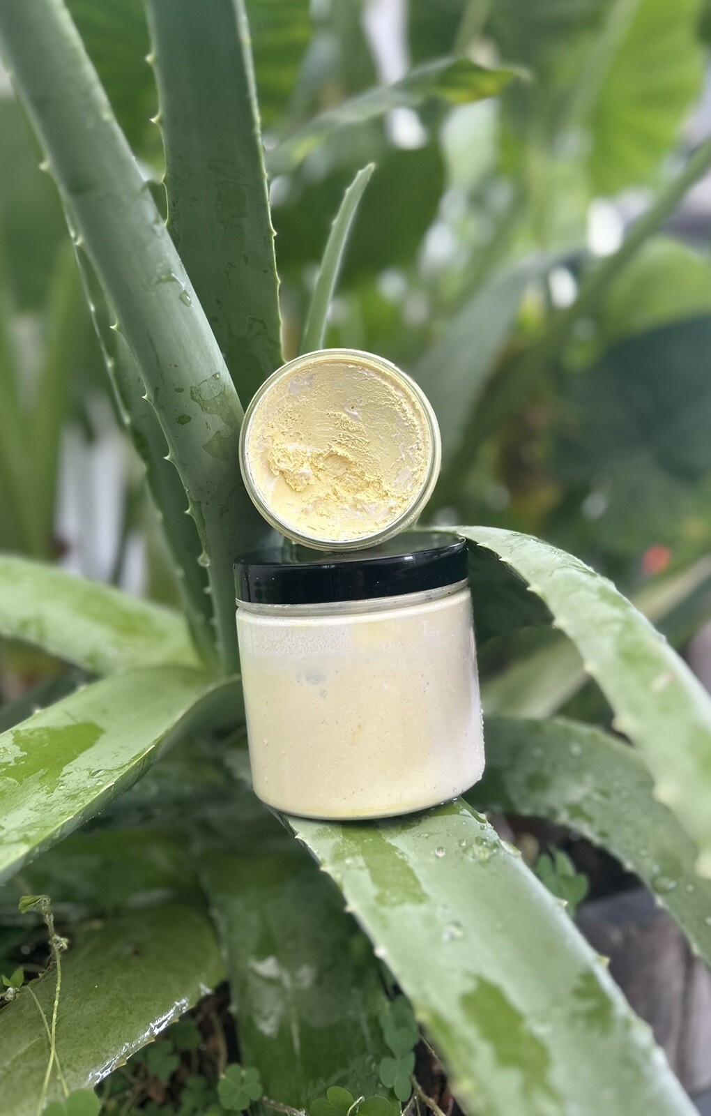 Organic Sunscreen