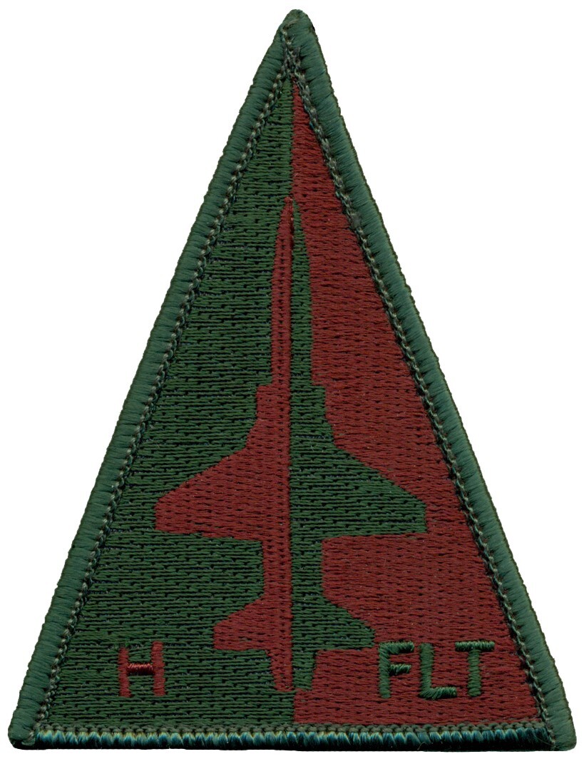 USAF 25th FLYING TRAINING SQUADRON PATCH - T-38 H FLIGHT
