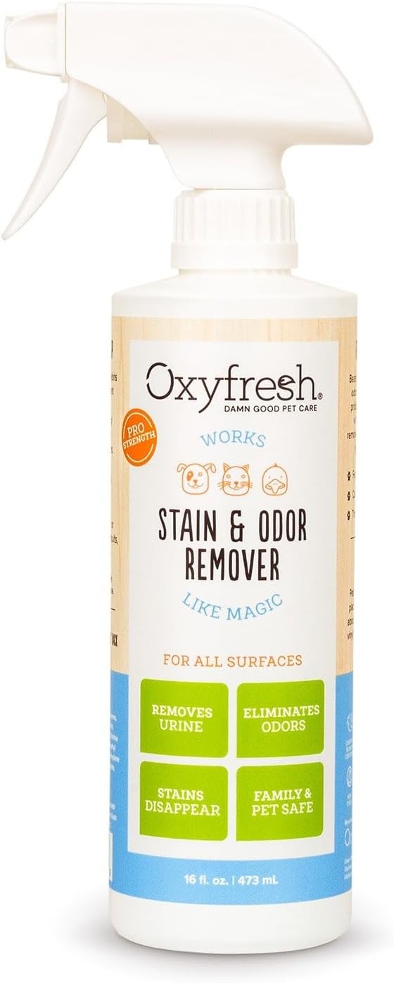 Pet Stain & Odor Remover, Strong Carpet Stain Remover & Cleaner