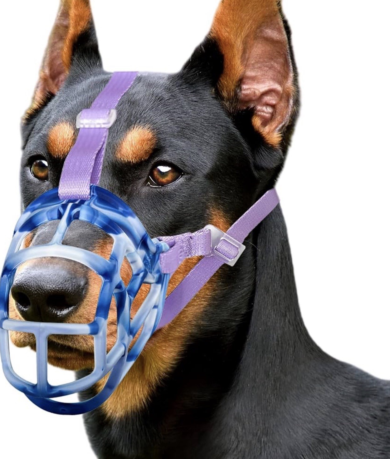 ROYAL CLAWS Muzzle for Small Medium Large Dogs - Prevents Biting & Chewing NEW