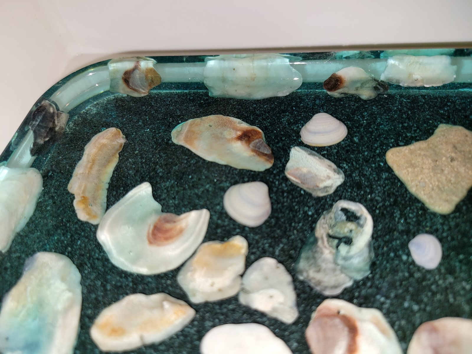 Underwater Tray