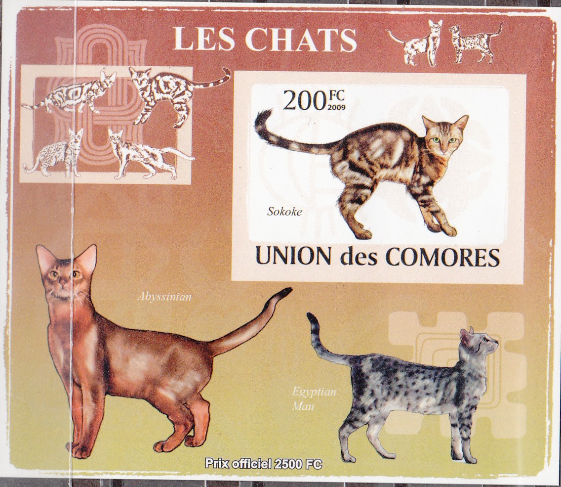 W COMORO Y2009 (50) (1v) CATS