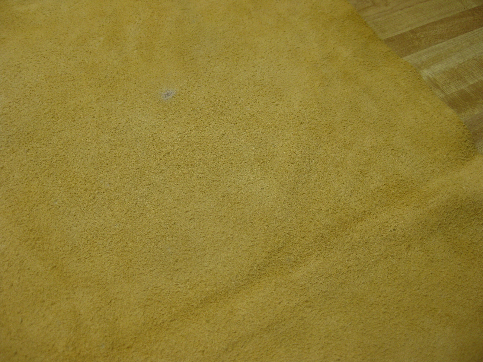 Suede Buffalo Leather Gold #0007961 R 35