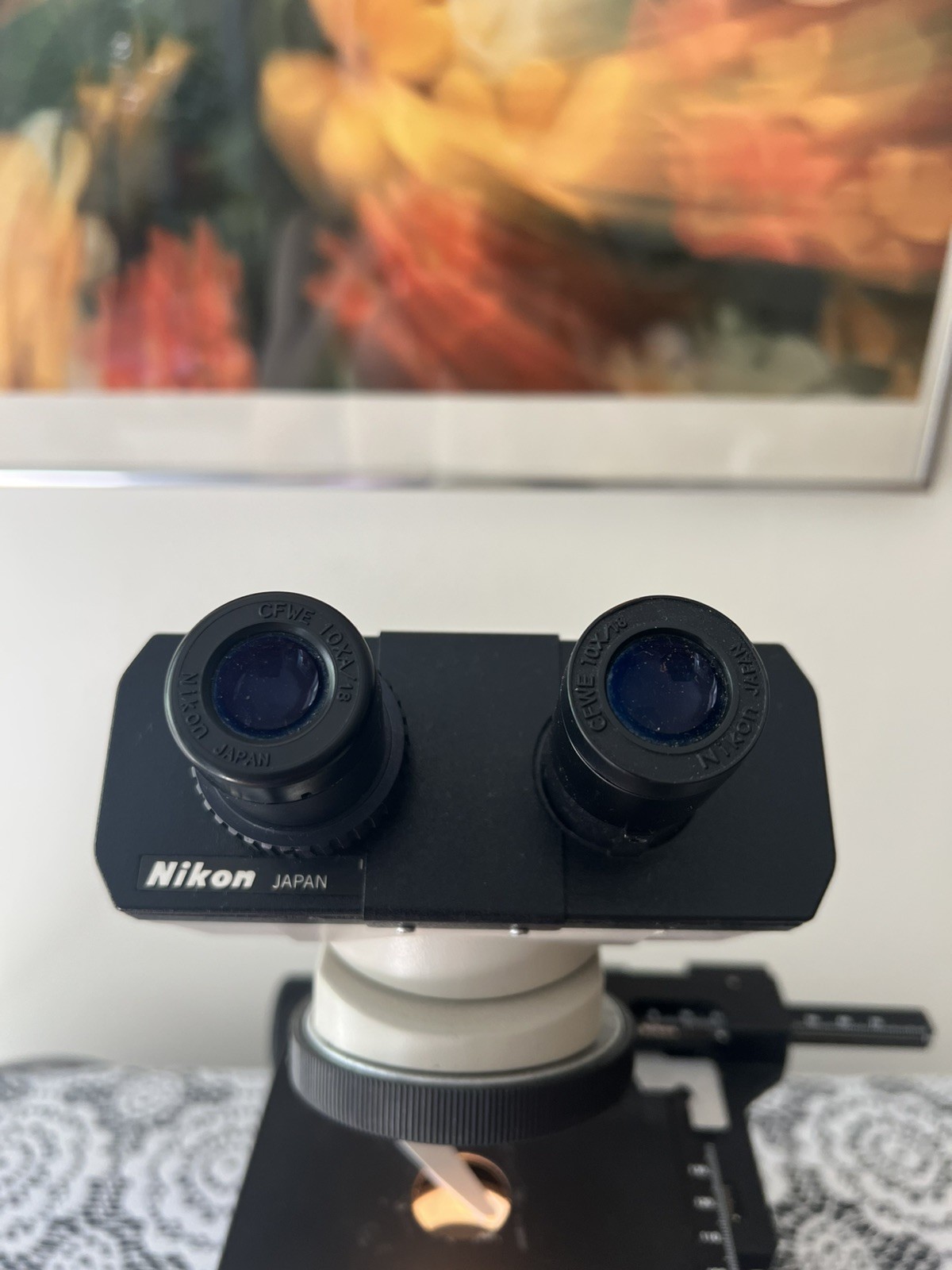 Nikon Alphaphot YS2-H Binocular Microscope | NO OBJECTIVE LENS
