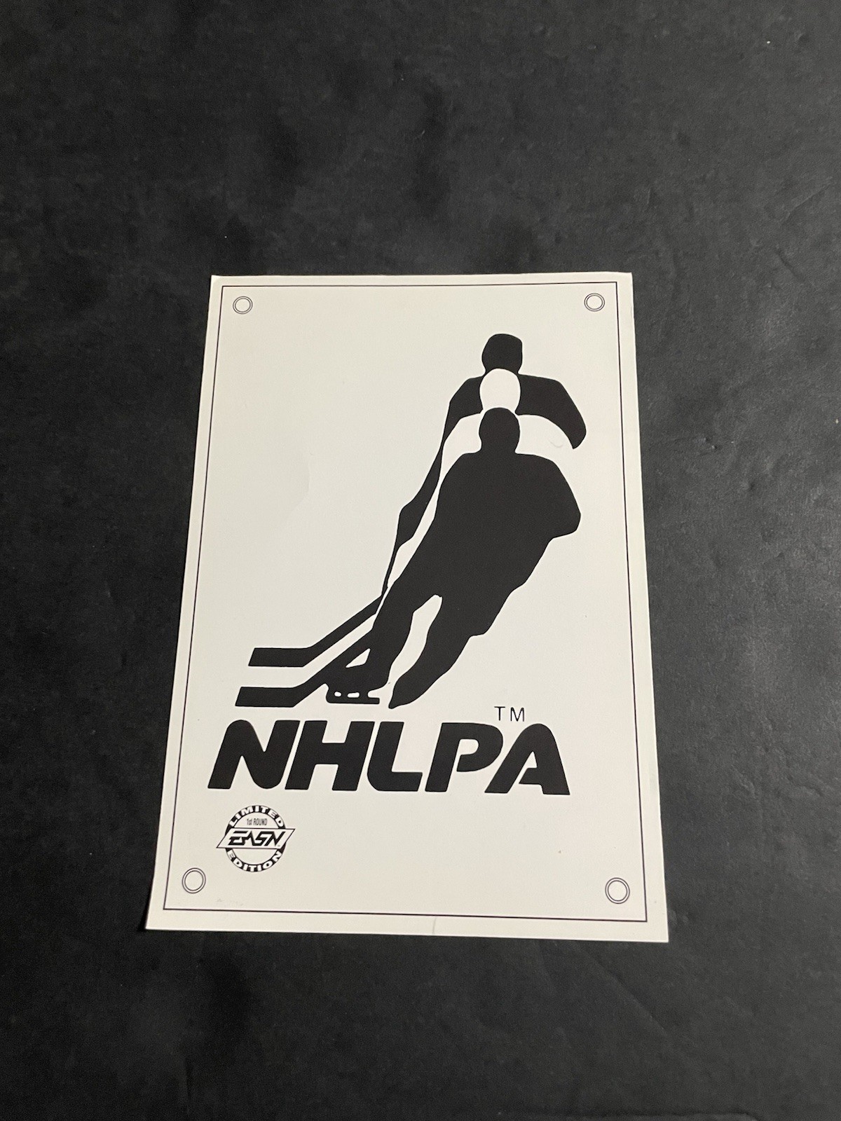 EASN Electronic Sports EA NHLPA Banner Sega Genesis Offer Card Insert
