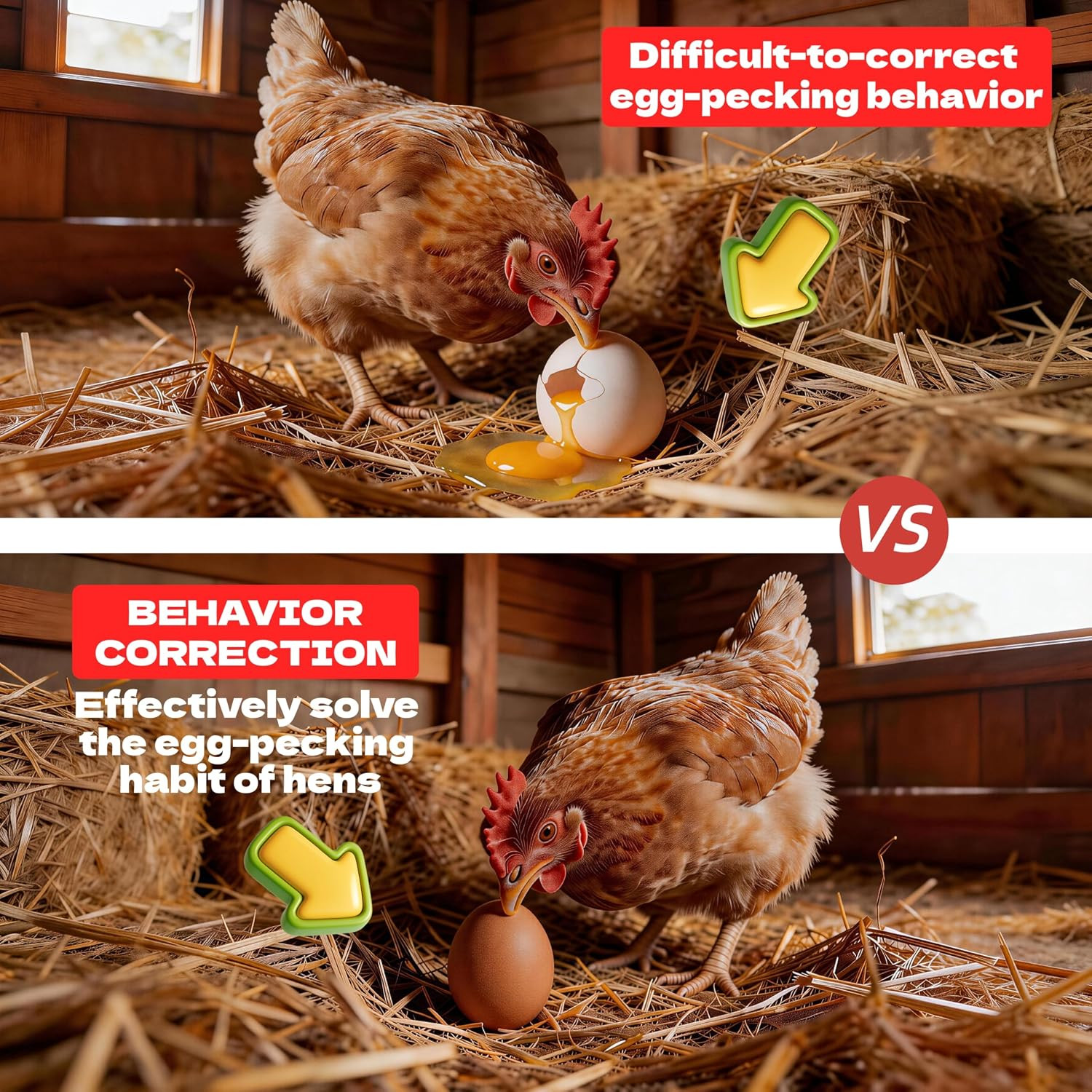 Wooden Eggs Nest Eggs Fake Eggs Dummy Eggs Guide Egg-Laying - Tools,Correcting E