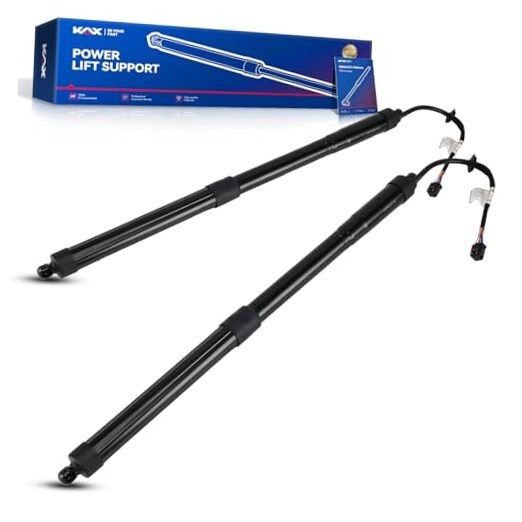 Rear Power Tailgate Lift Support Shock Struts,Compatible with 2013 81771B8100