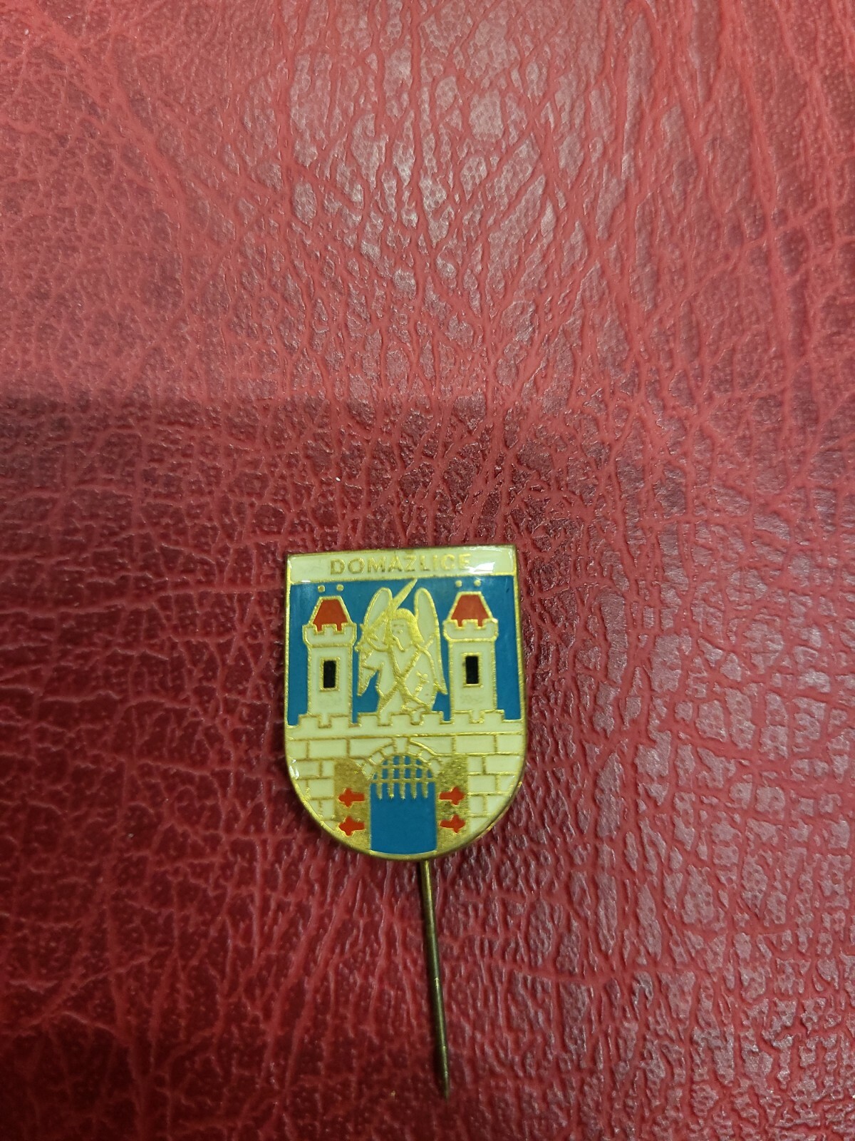 Pin Hatpin Hiking Pin Domzlice