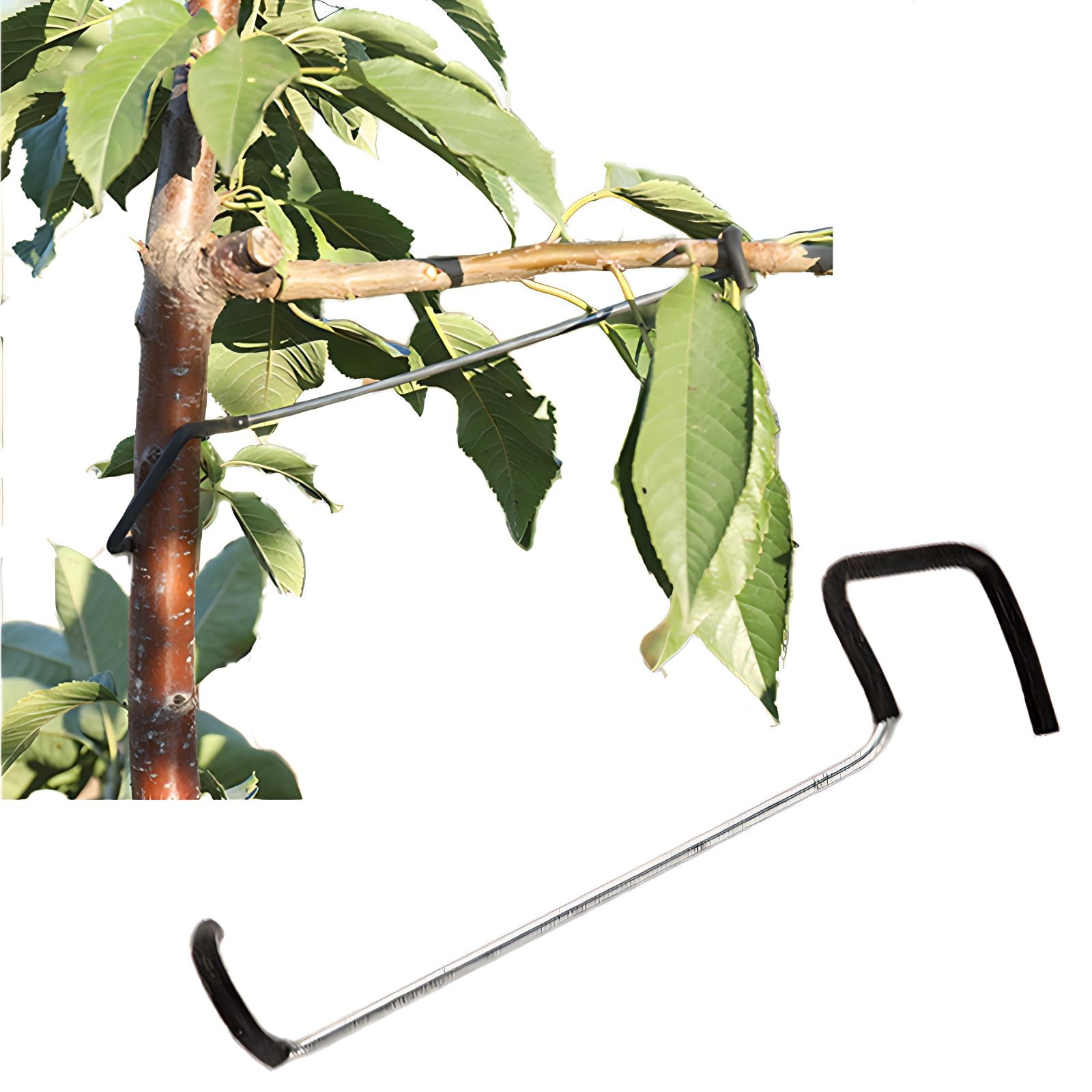 10 Inch Fruit Tree Limb Spreader Branch Puller Bending Tool 26T 20 PCS