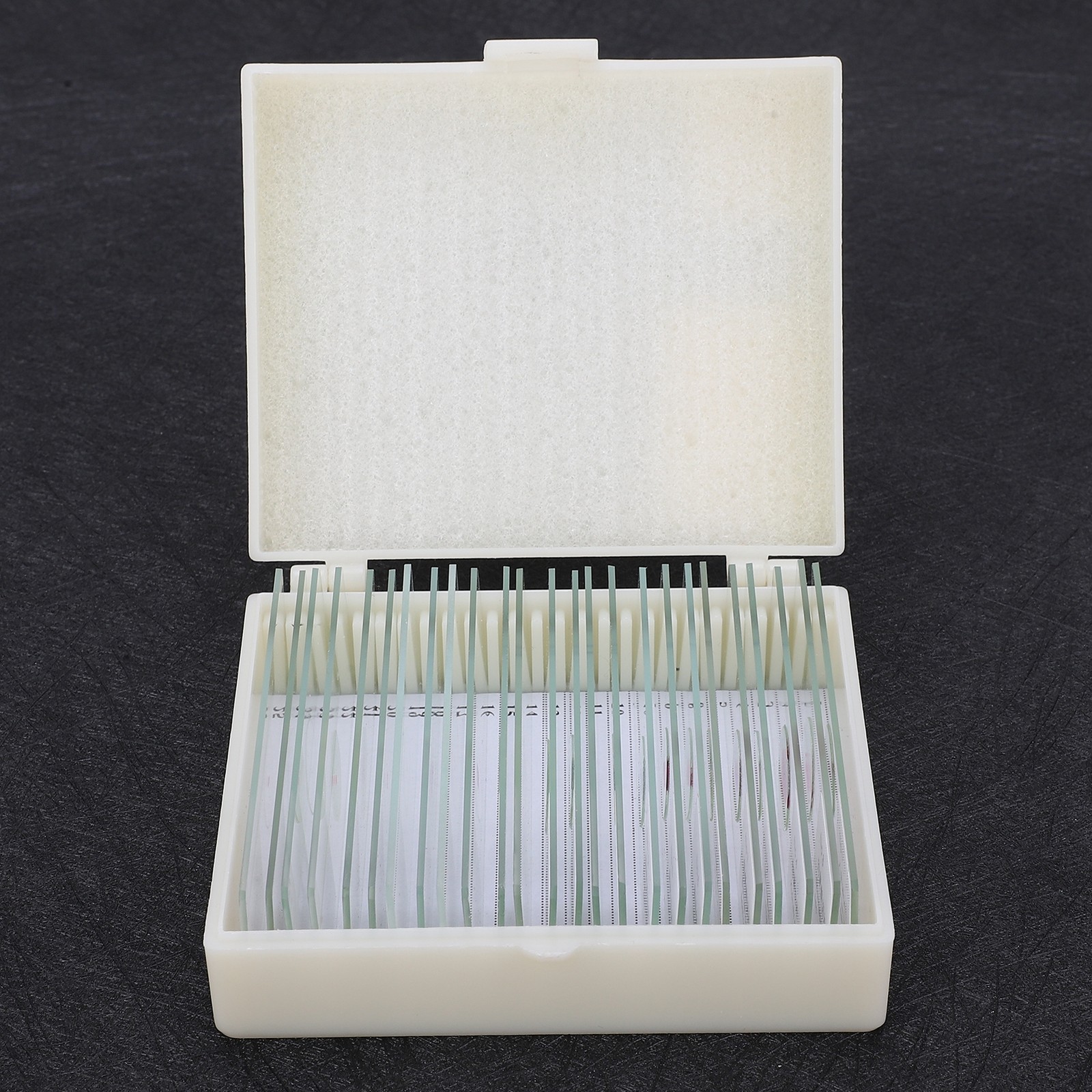 25Pcs Animal Slides Microscope Sample Slides For Science Education Popular