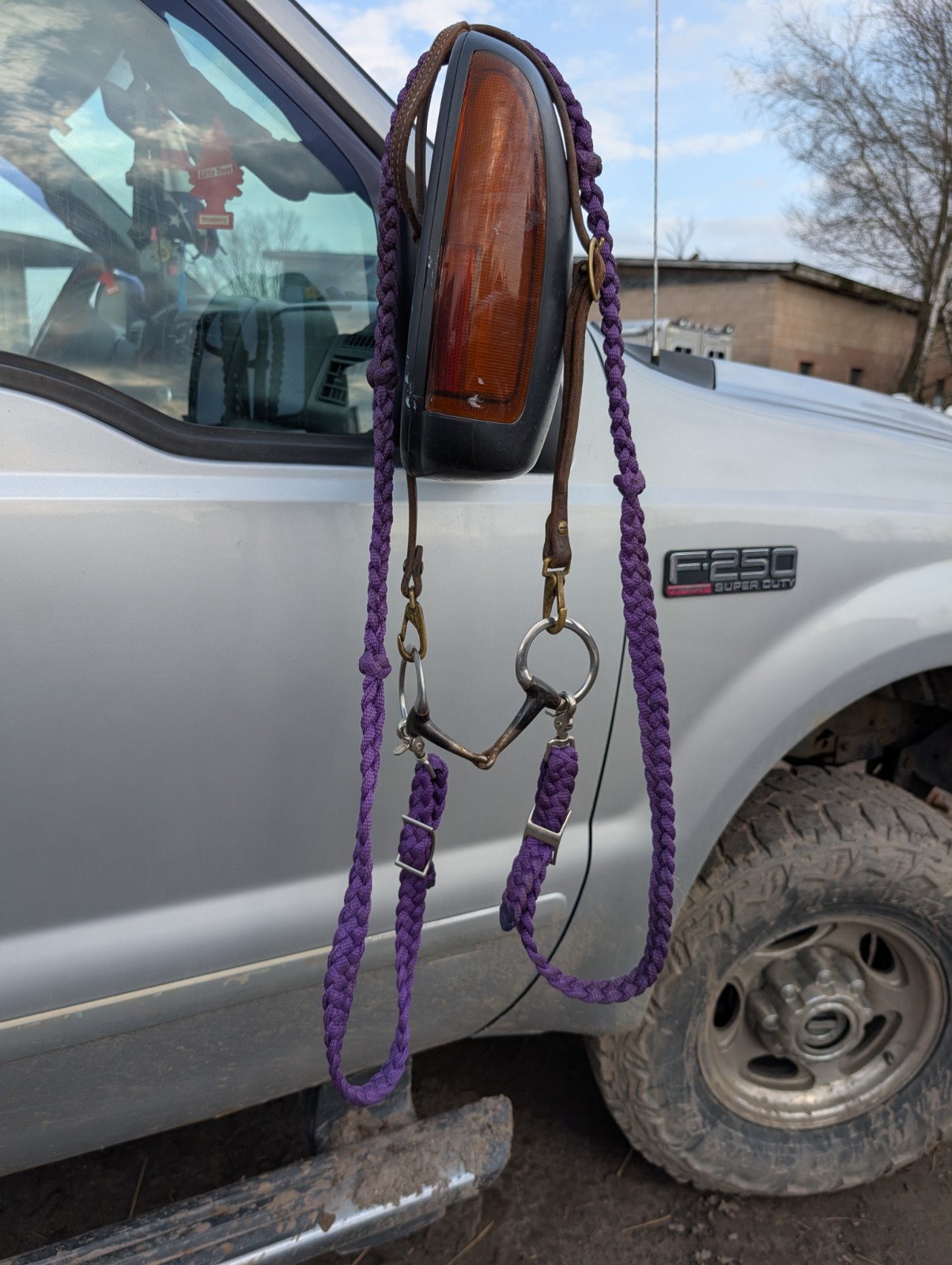 One ear, quick change headstall 5" egg butt snaffle with 8' mule tape reins