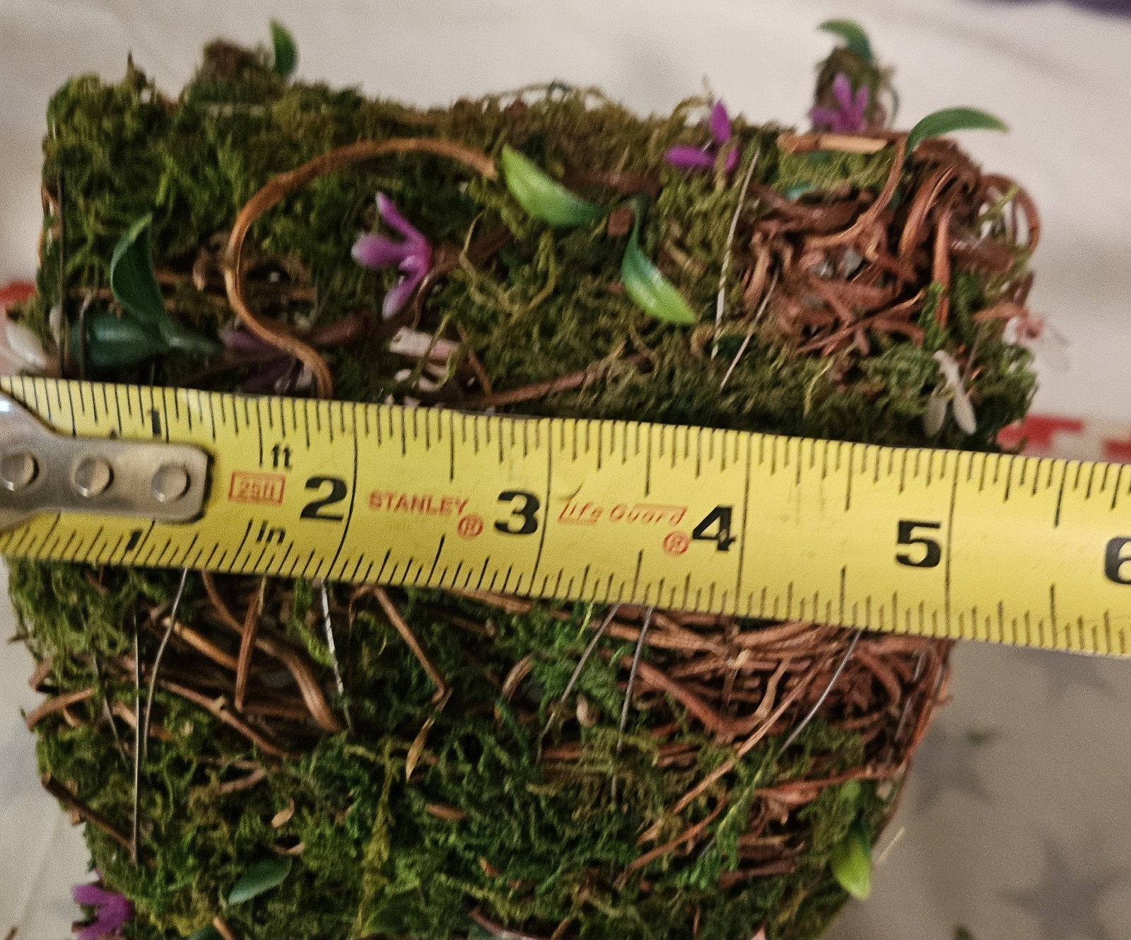 Plant Basket Set