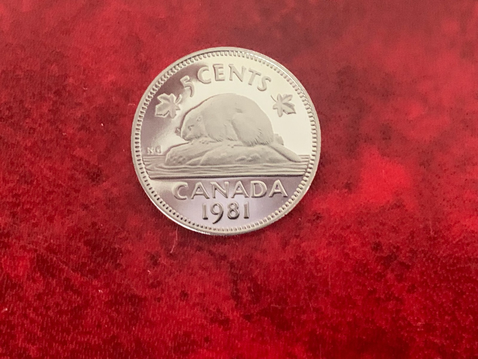 Canada 5 Cent 1981 Proof Coin-Uncirculated