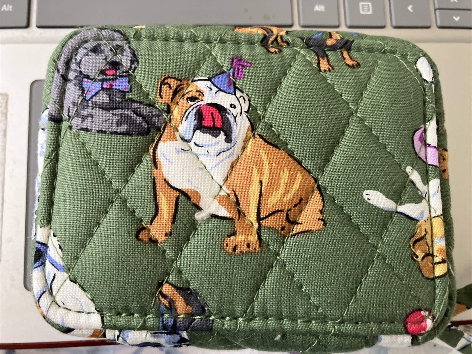 VBERA BRALDEY TRAVEL PILL CASE "DOG PARK" ***ACTUAL PATTERN***