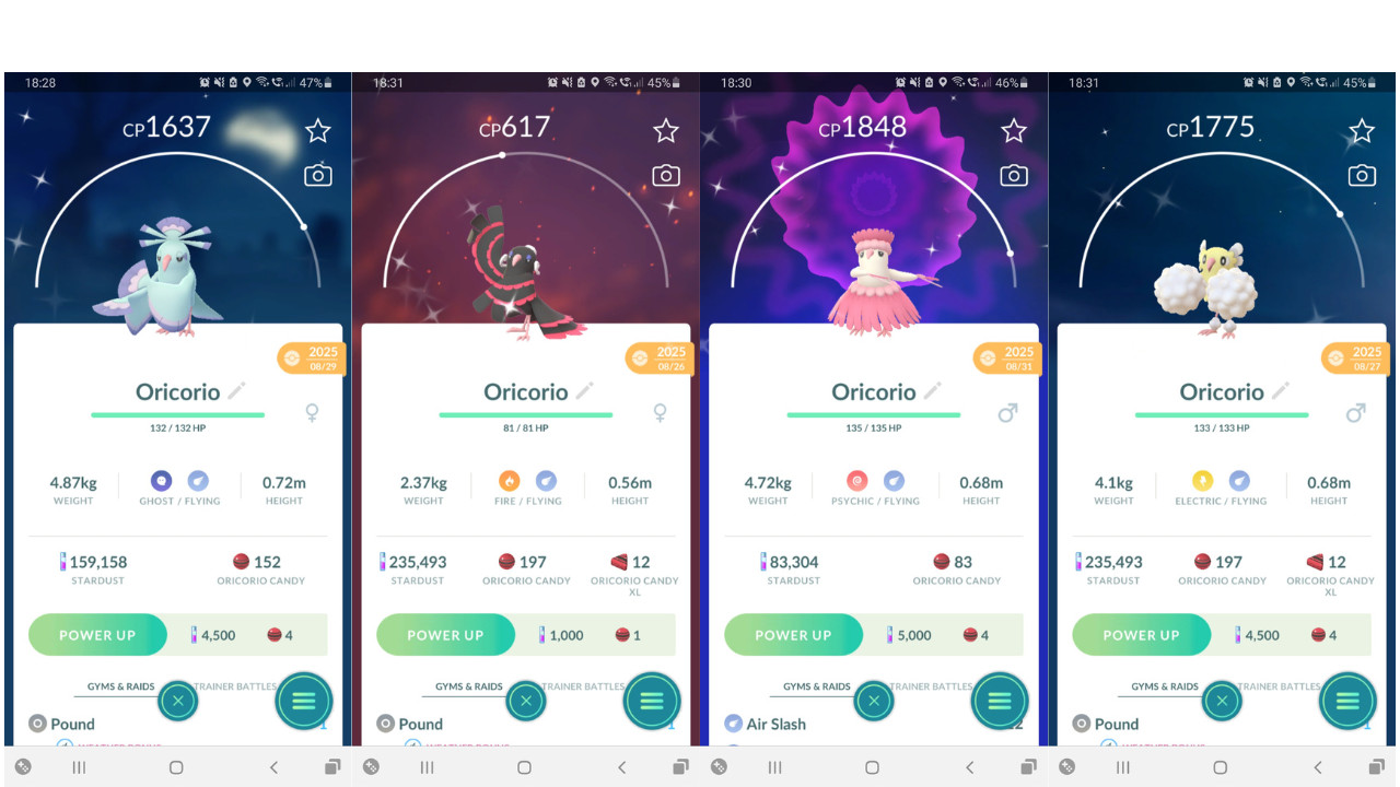 🐦Shiny Oricorio (Dazzling Choreogel) All Style Pokemon GO🐦 Exchange or PTC