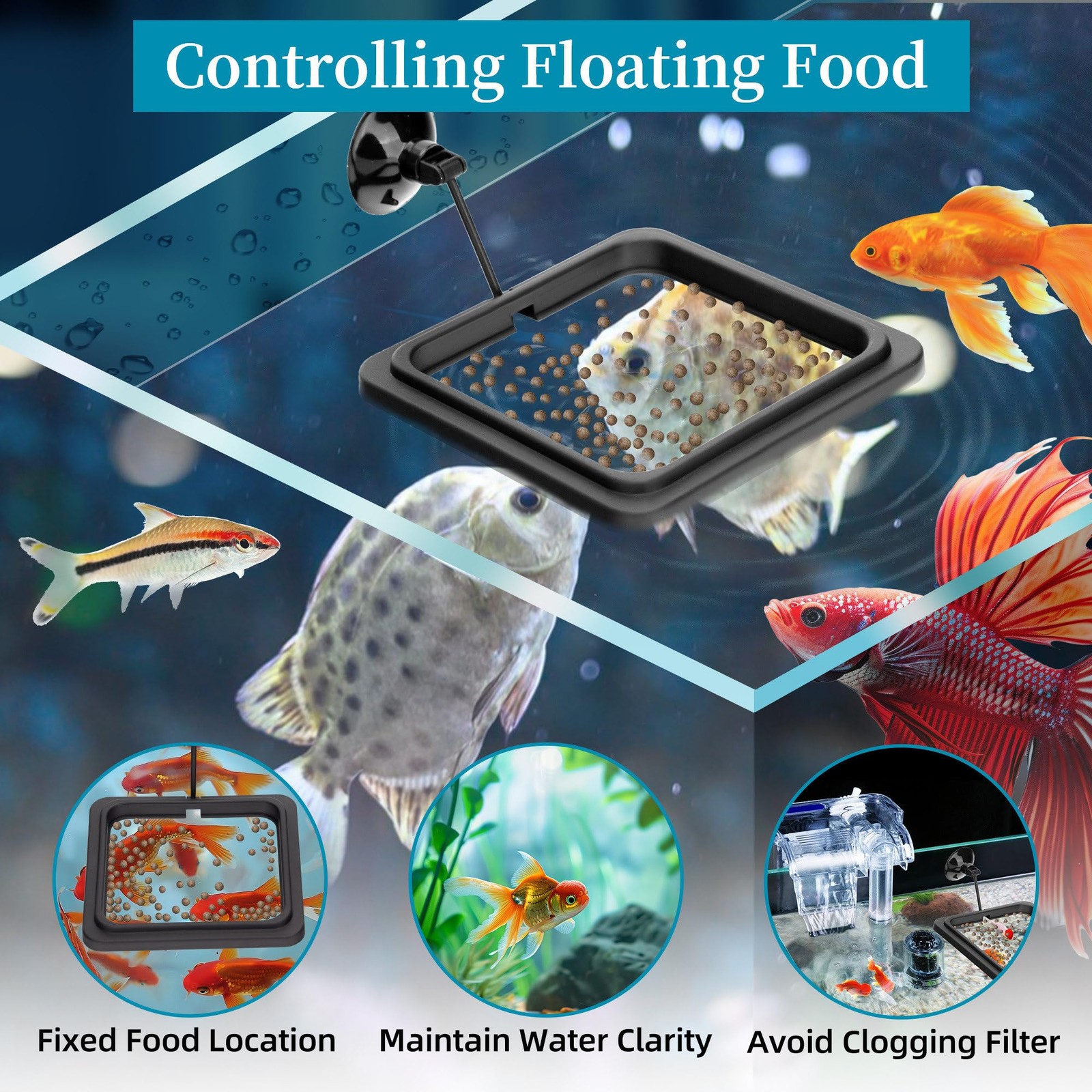 DaToo Fish Feeding Ring Aquarium Square Floating Food Feeder Circle black