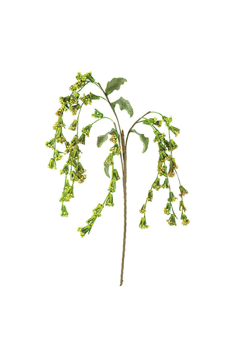 Trailing Green & Crimson Berry Stem