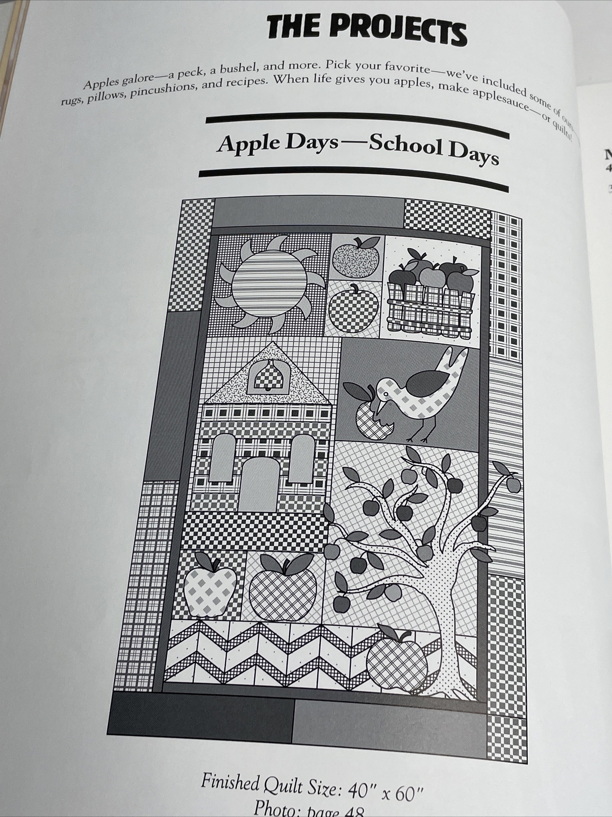 The Quilted Apple Paperback y Laurene Sinema Quilt Patterns