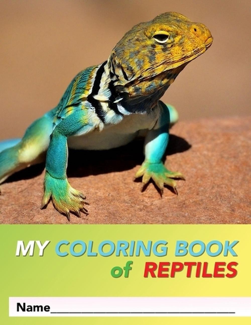 My Coloring Book Of Reptiles: 31 Pages of 8.5 x 11" Fun by Sidney Manglefork Pap