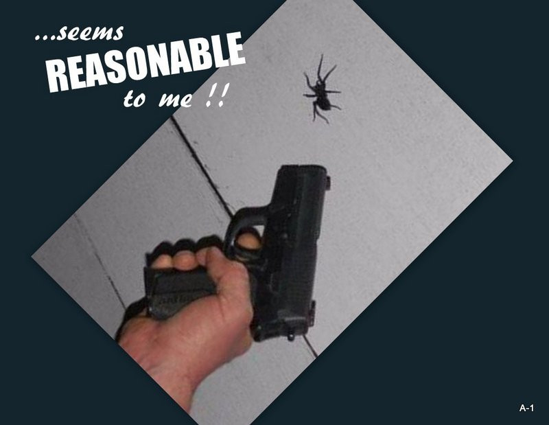 Seems reasonable to me gun  refrigerater magnet  3 1/2 X 4 3/4