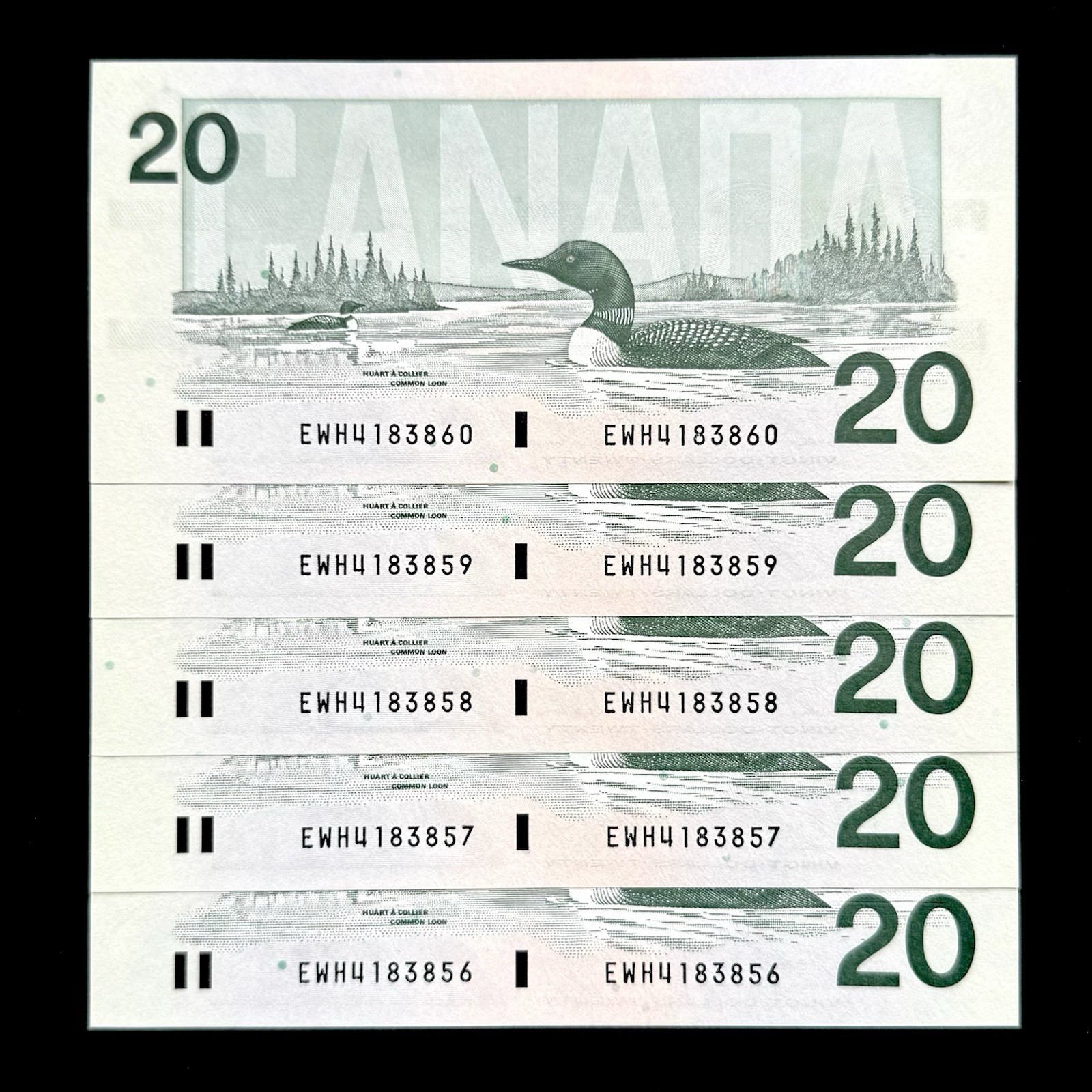 5 UNC 1991 Canada $20 Dollars Consecutive Banknotes Paper Money Prefix EWH Lot