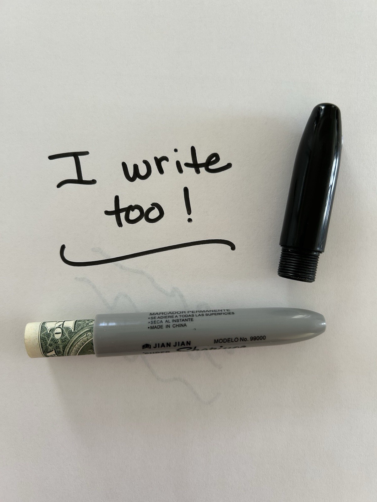 Hidden Compartment Writing Marker Secret Dummy Diversion Safe SHIPS FROM USA