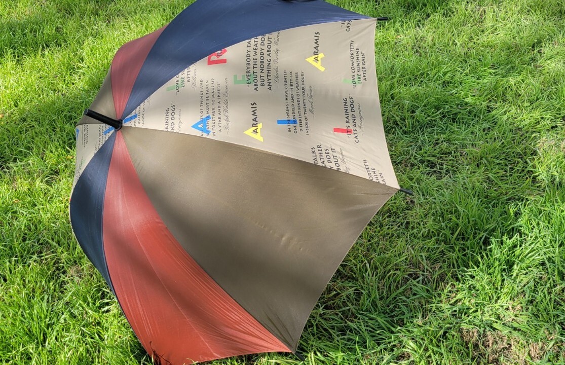 Aramis Talks Wit Weather Sayings Umbrella  Colorblock Multicolor 35.5 In.