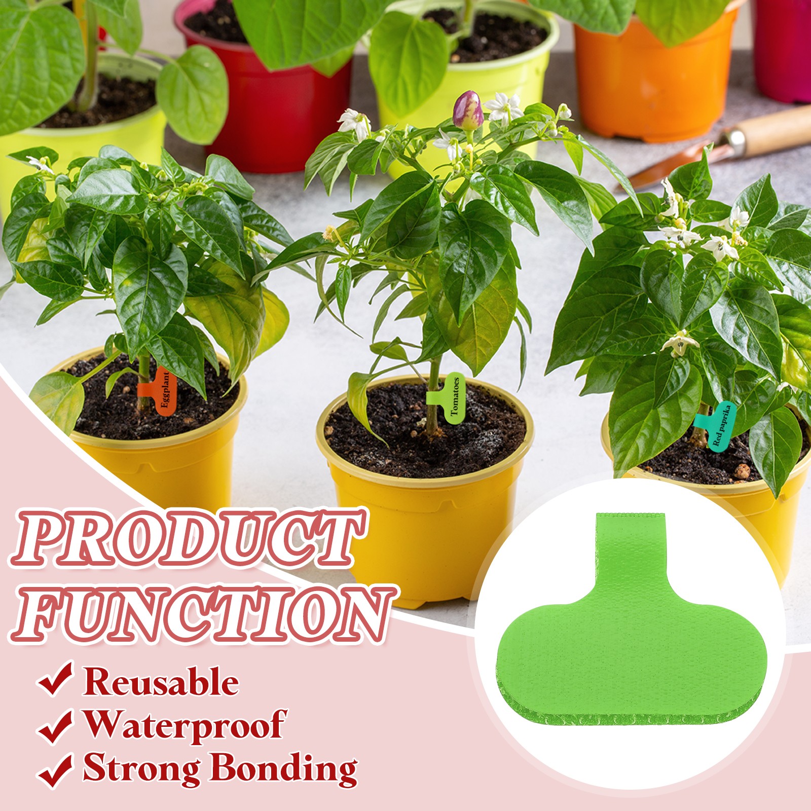 2.4 x 1.5 Inch Cable Labels, 32 Pcs Electronic Cable Identification Tags, Green