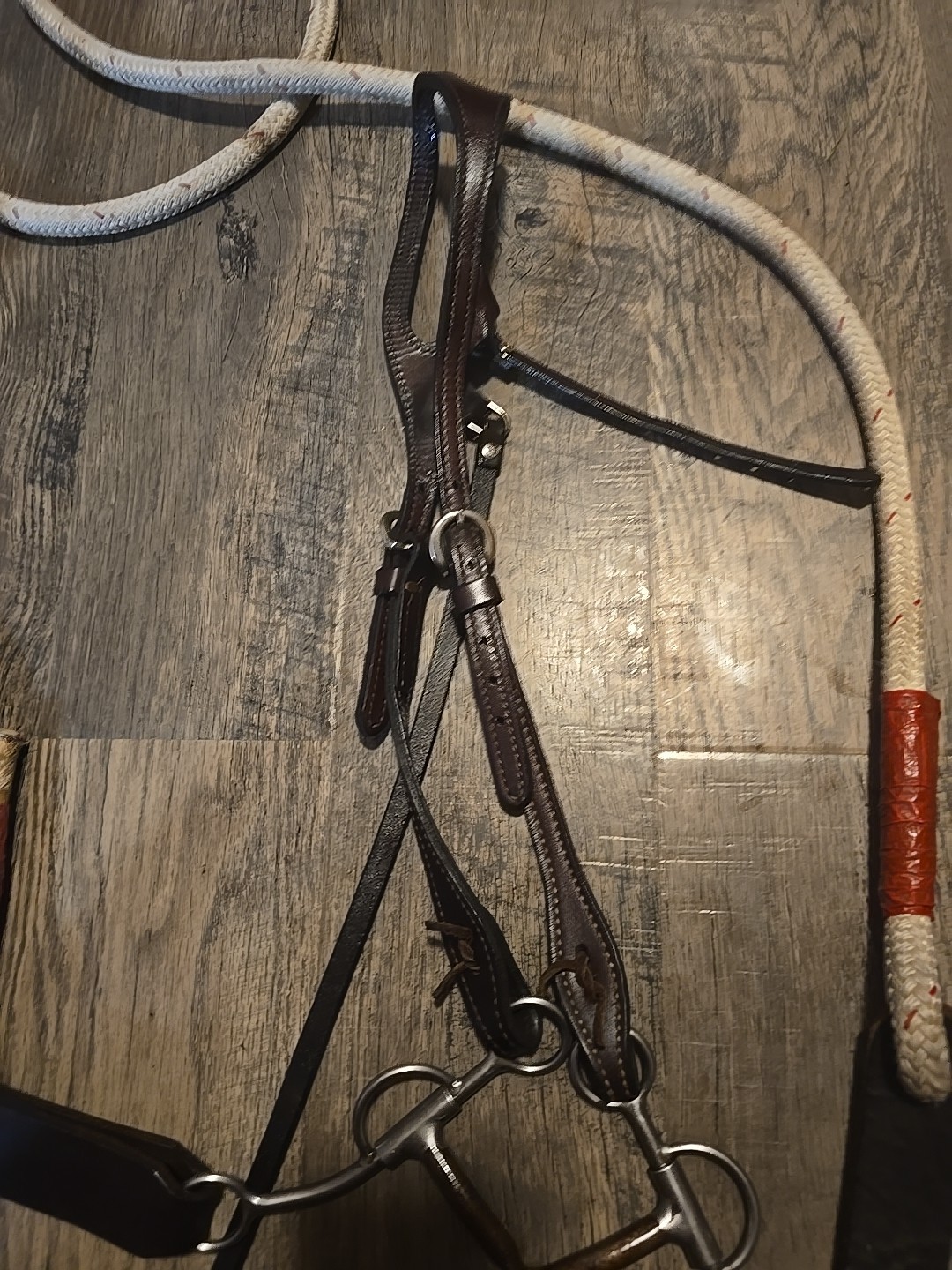 western headstall